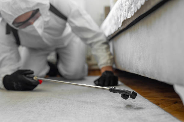 Professional Bed Bug Control technician working in Mooresville, IN