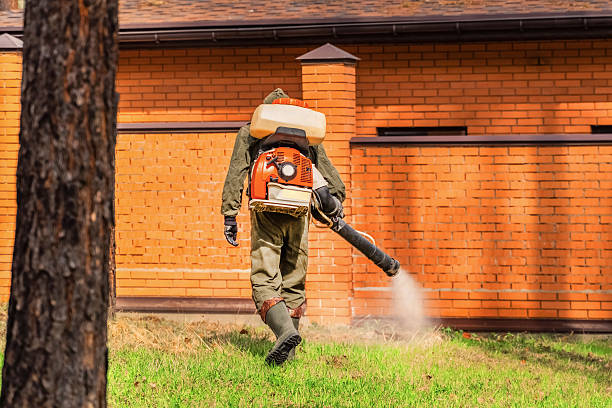 Trusted Cockroach Control service in Mooresville, IN - Nex Pest Control